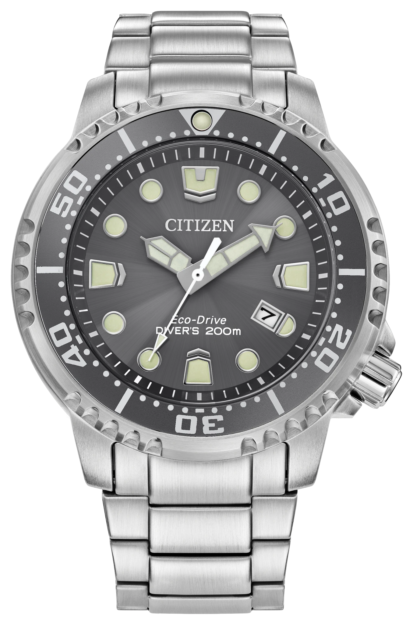 Promaster Dive