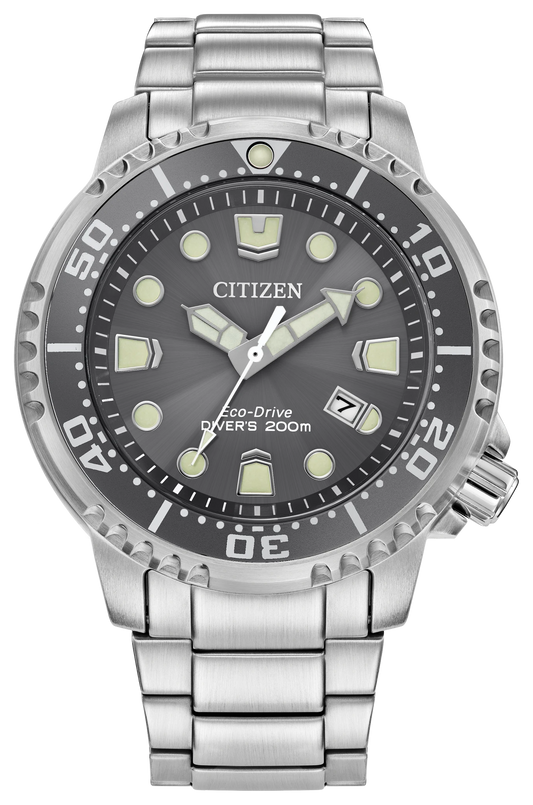 Promaster Dive