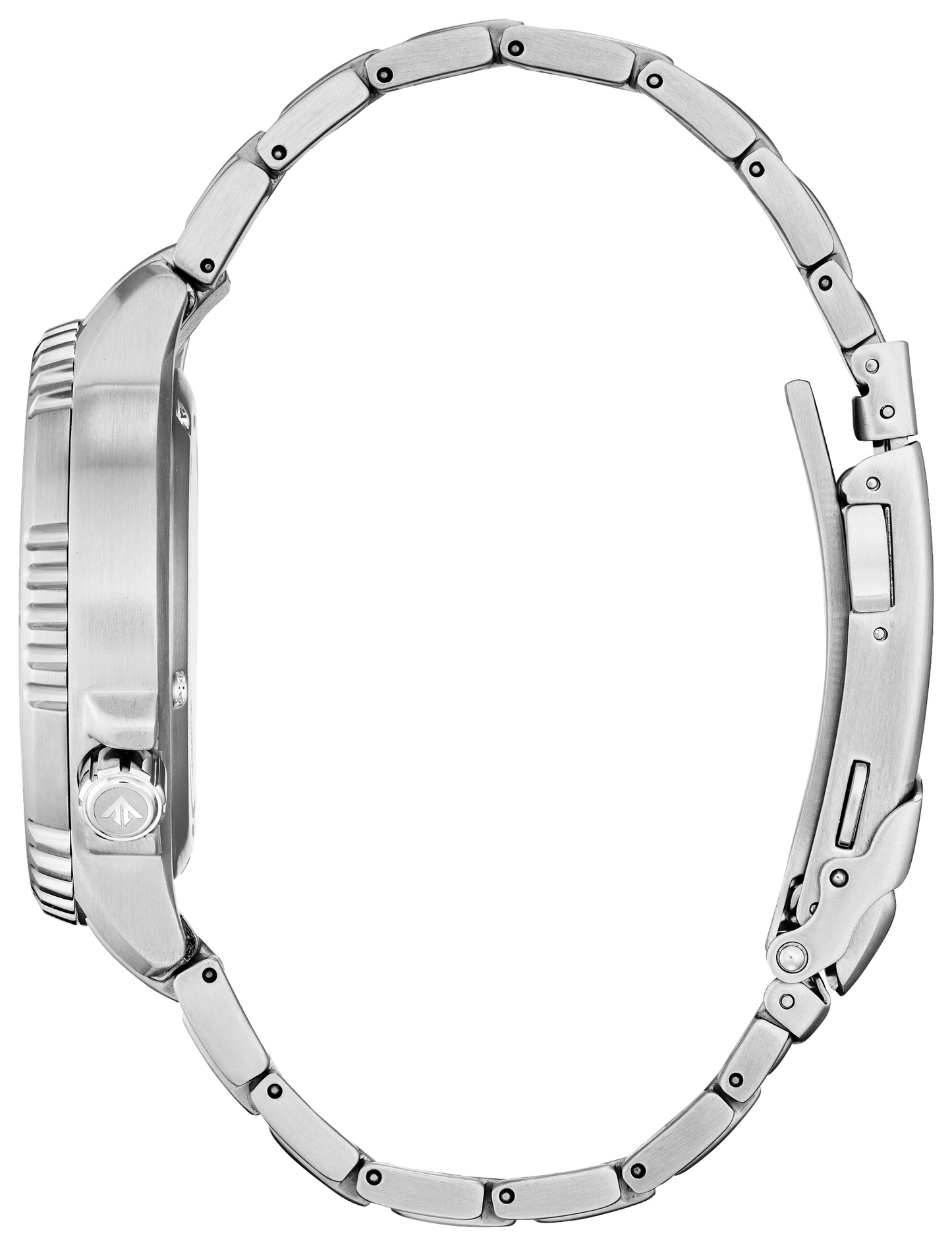 Promaster Dive