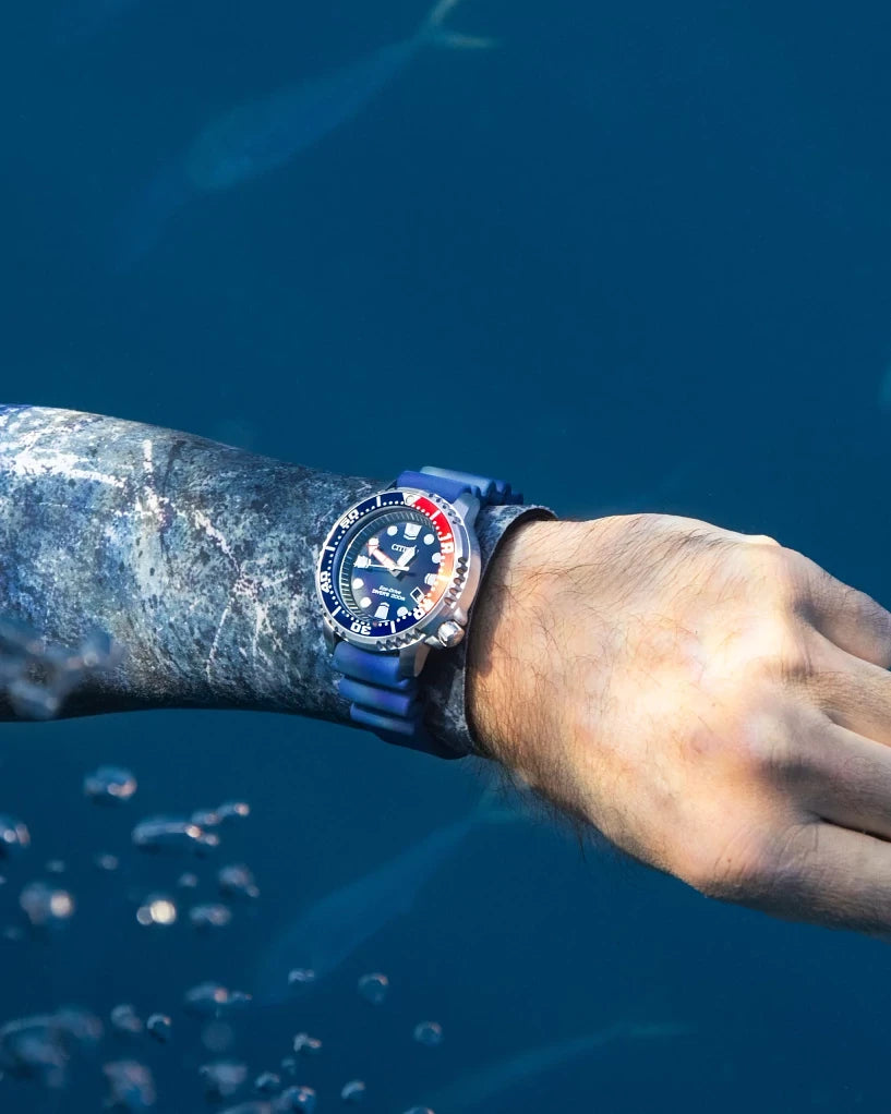 Promaster Dive