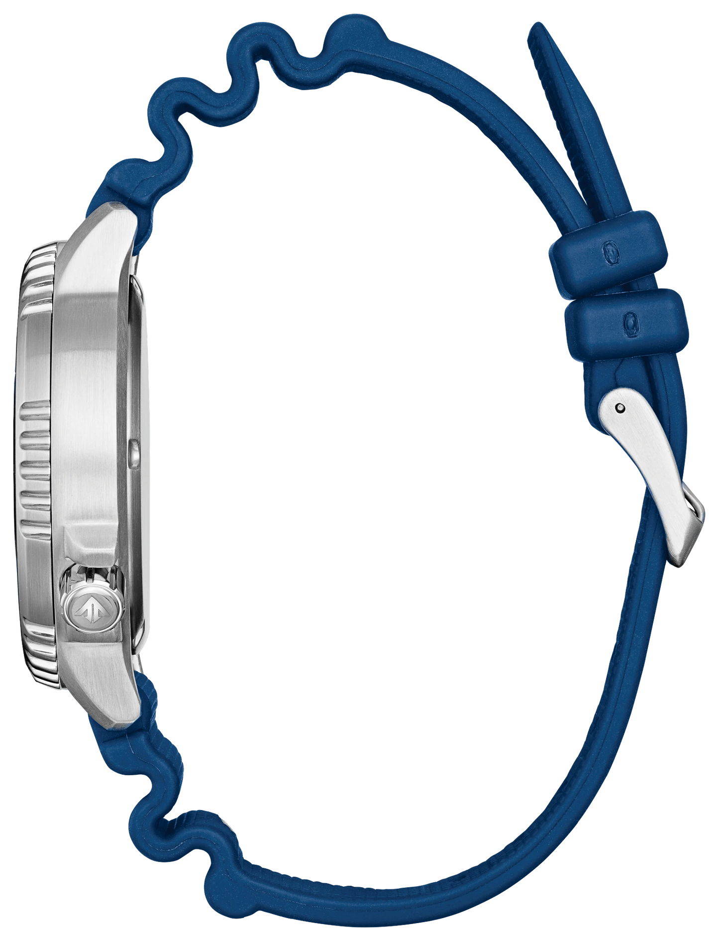 Promaster Dive
