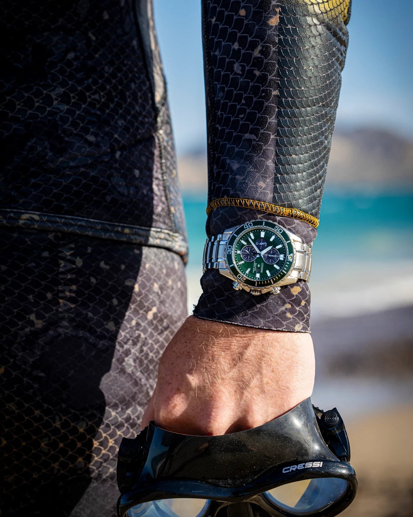 Promaster Dive