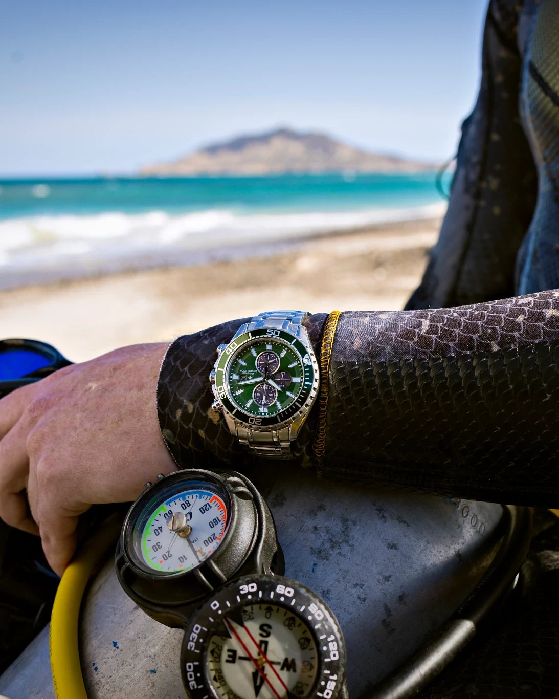 Promaster Dive