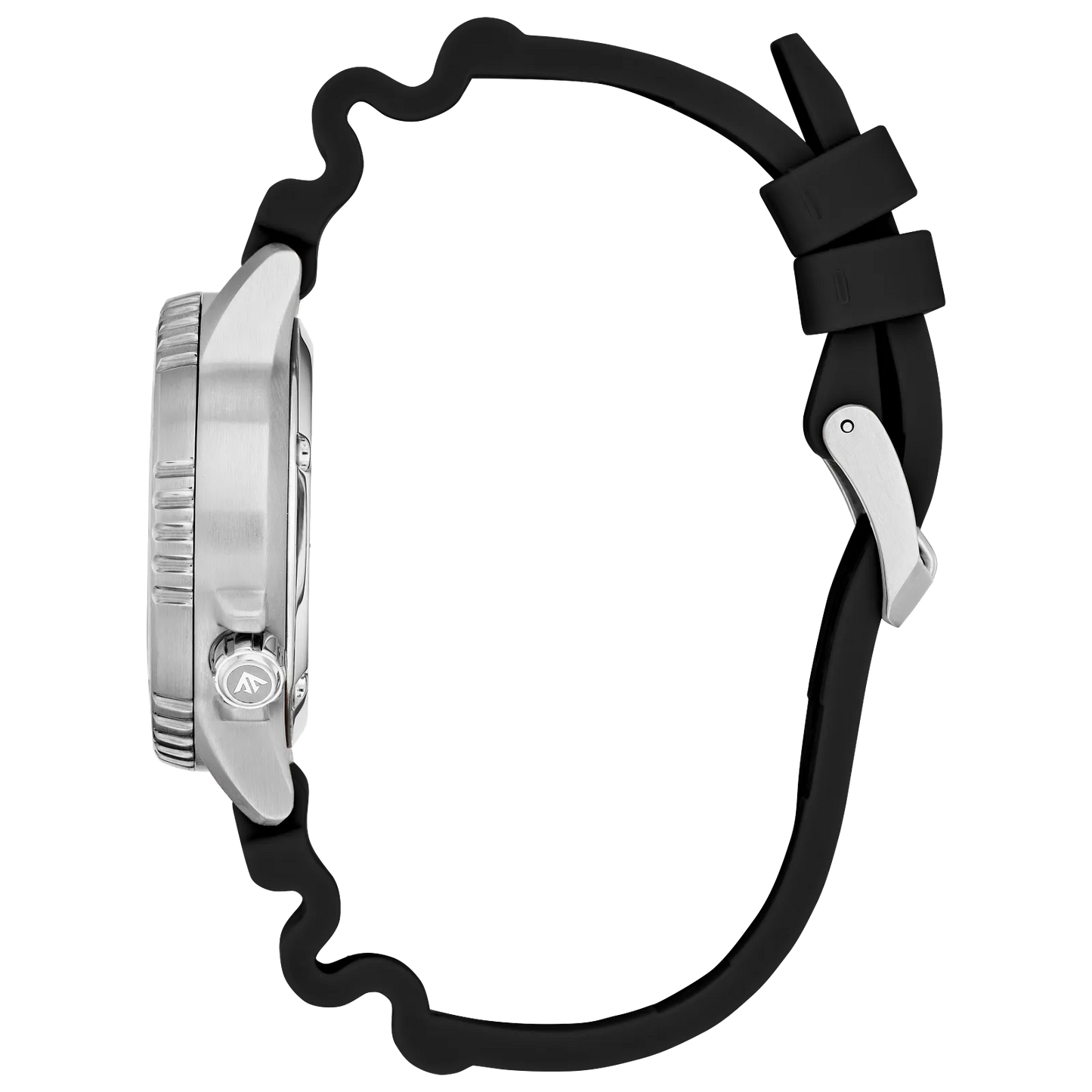 Citizen Promaster Dive